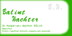 balint wachter business card